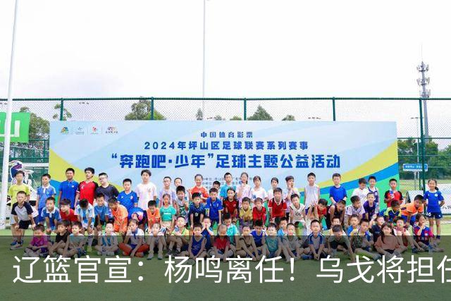 辽篮官宣：杨鸣离任！乌戈将担任辽宁男篮主帅